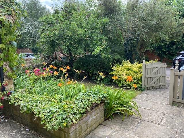 Front garden 2.jpg