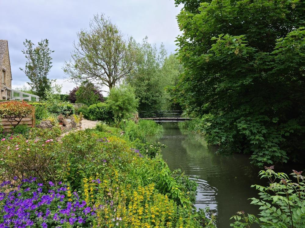 Millstream Riverbank.jpg