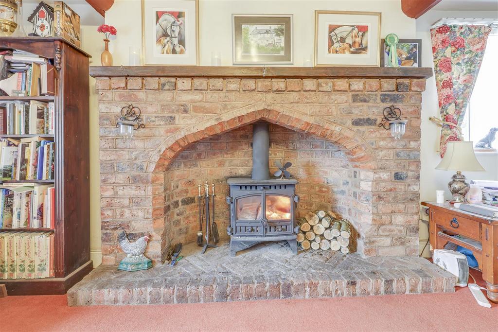 Feature Fire