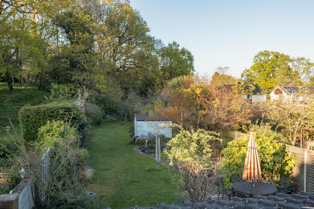 Garden Pic 1