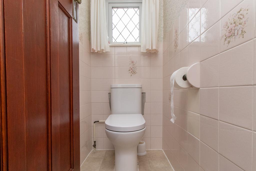 Picture 15