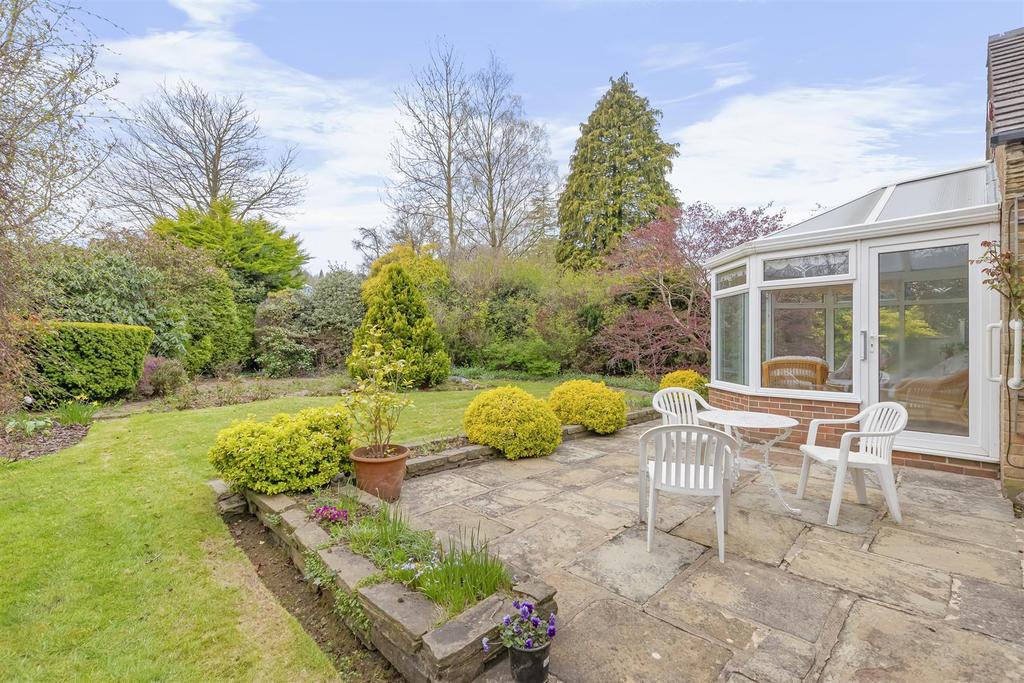 South Facing Garden