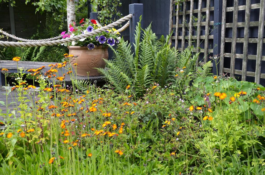 Garden detail-1.JPG