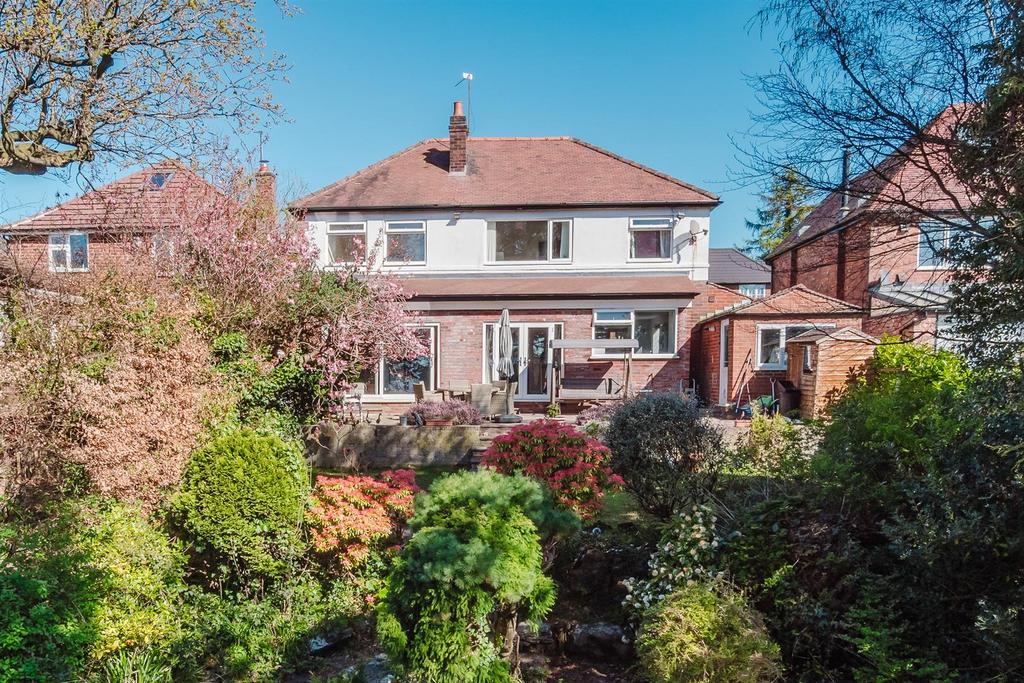 Rear of Property