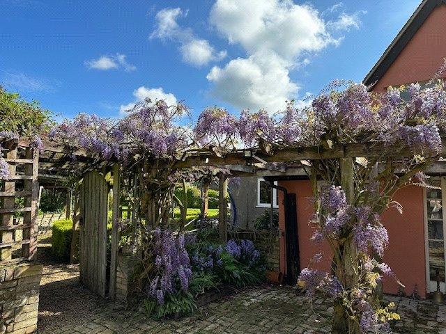 Pergola