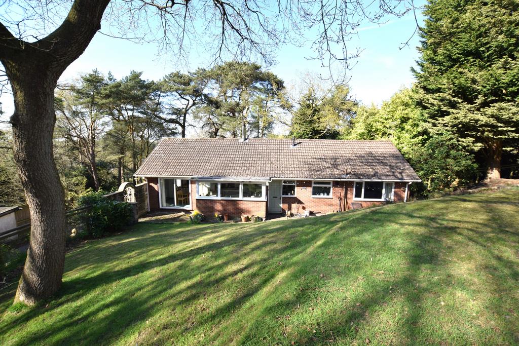 Rear view of bungalow