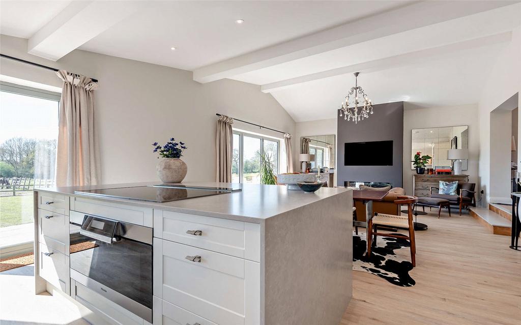 Kitchen/Living Area
