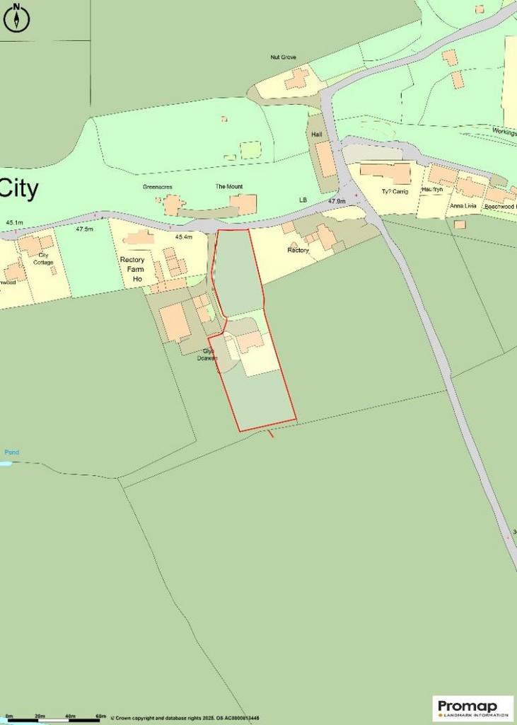 Promap-3163646-3260671-750-0.jpg