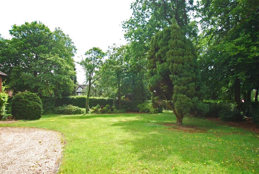 Grounds