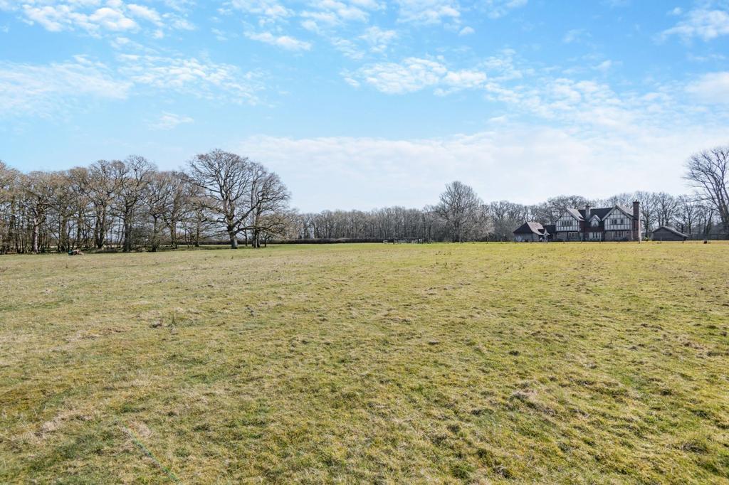 Grounds