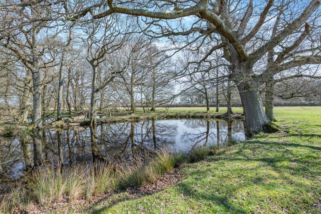 Grounds