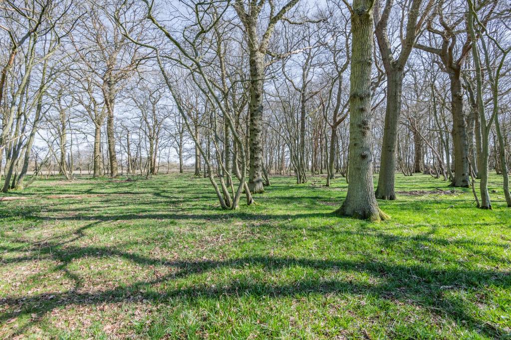 Grounds