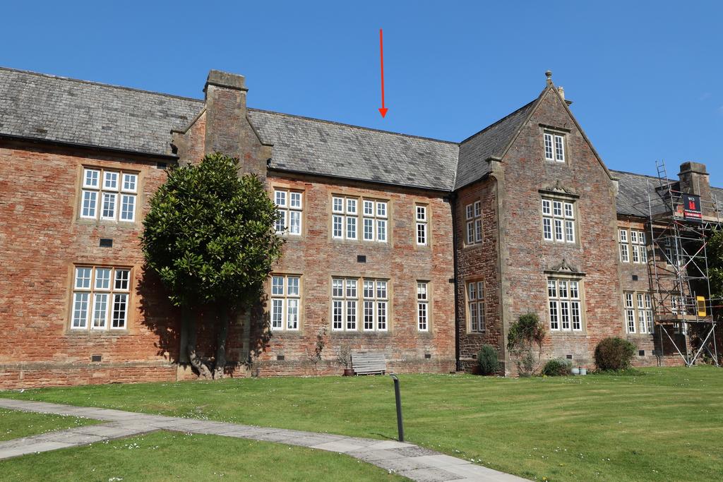 Rear elevation
