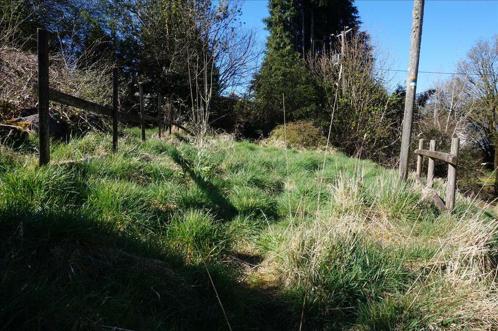 Garden :