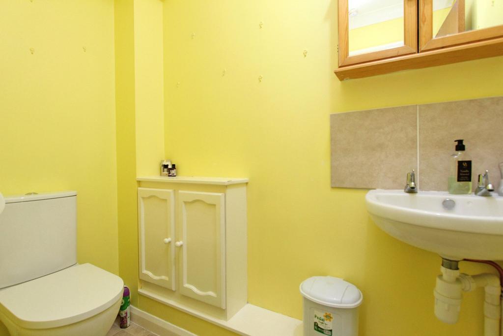 Picture 8