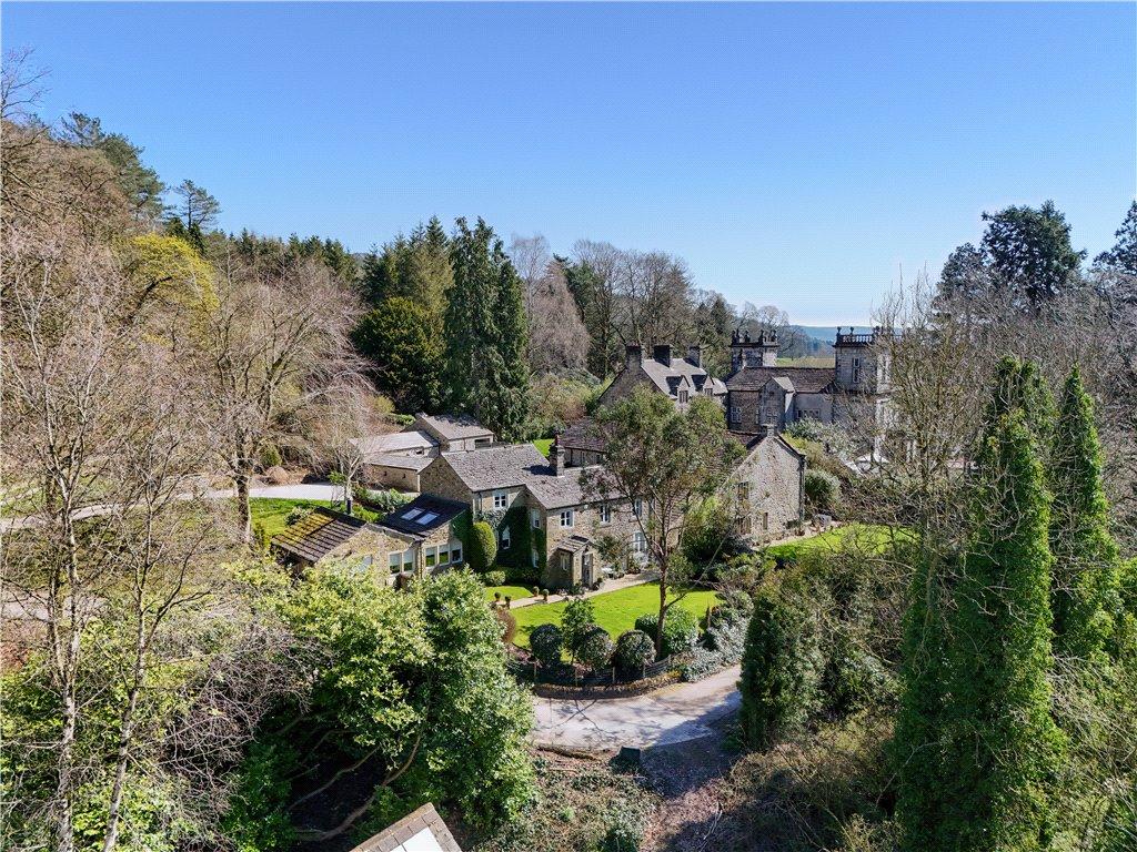 Drone View