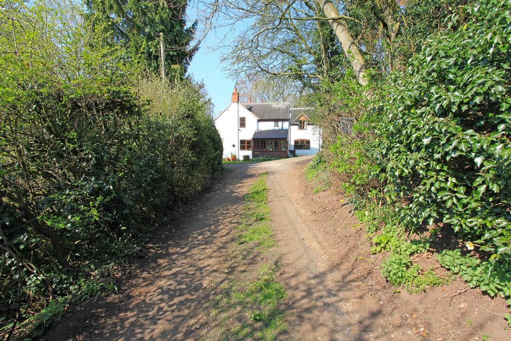 Img 2981.jpg