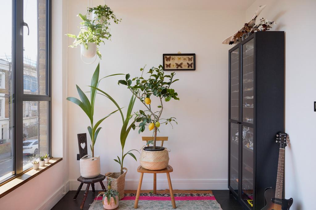 273649   tmh st paul's crescent 41.jpg