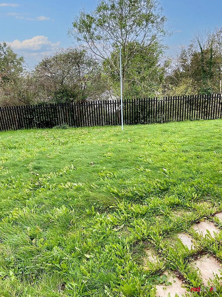 Shared Rear Garden