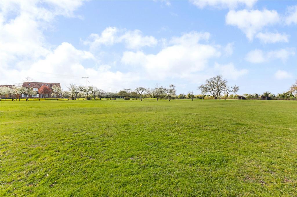 Grounds
