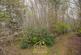 Additional image 5 of Moray Park Gardens, Inverness IV2