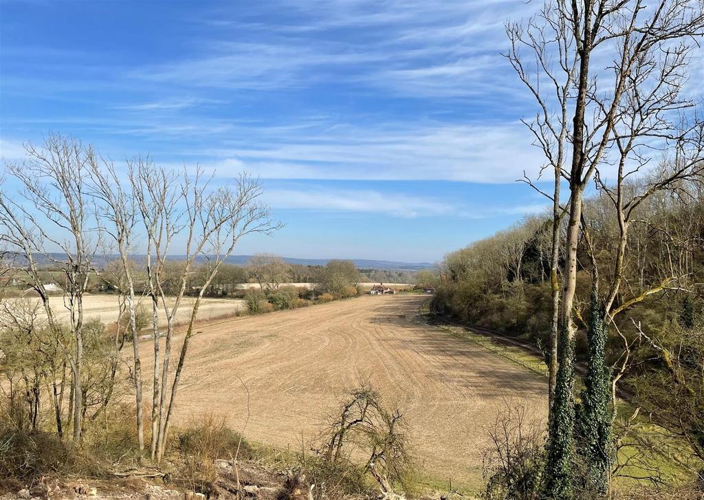 View of Field / Paddock