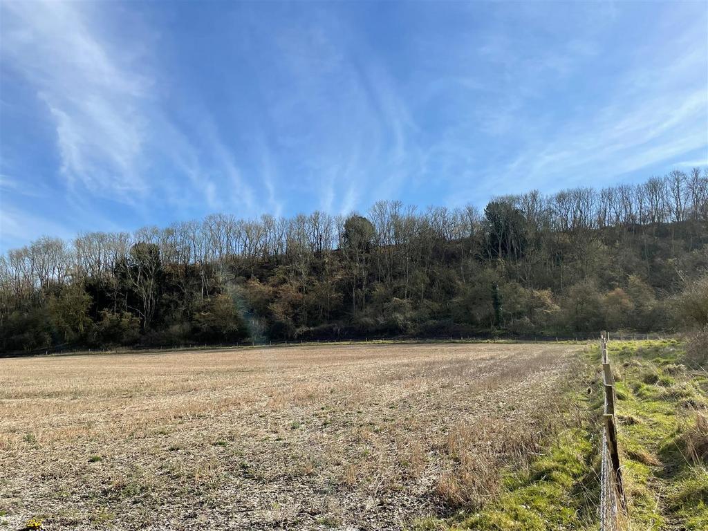 View of Paddock / Field and Woodland