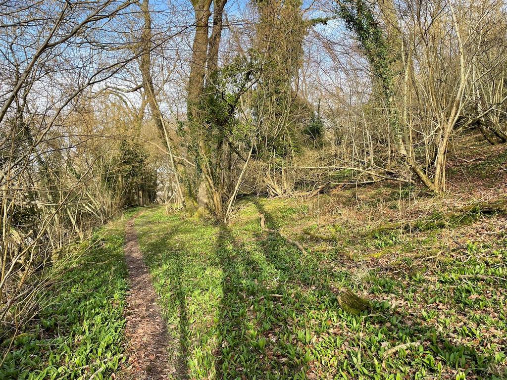 Woodland (Additional Land)