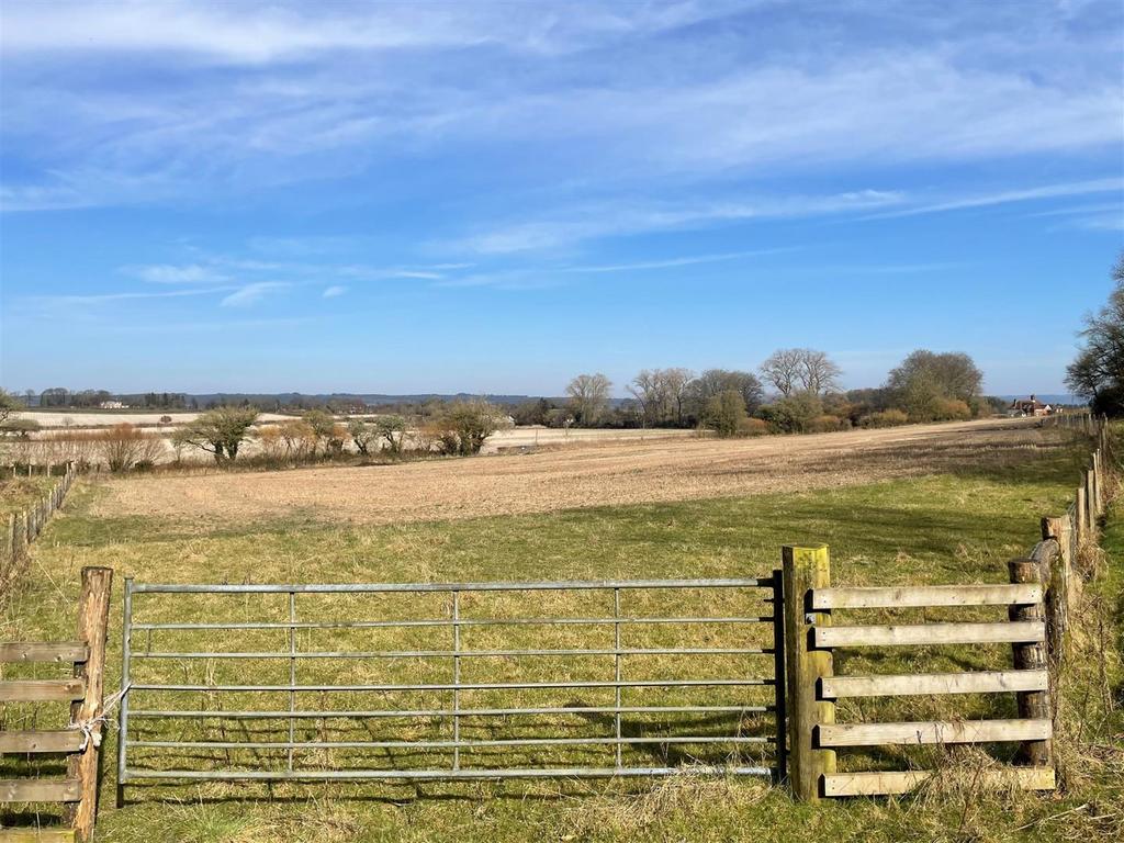 View of Paddock / Field