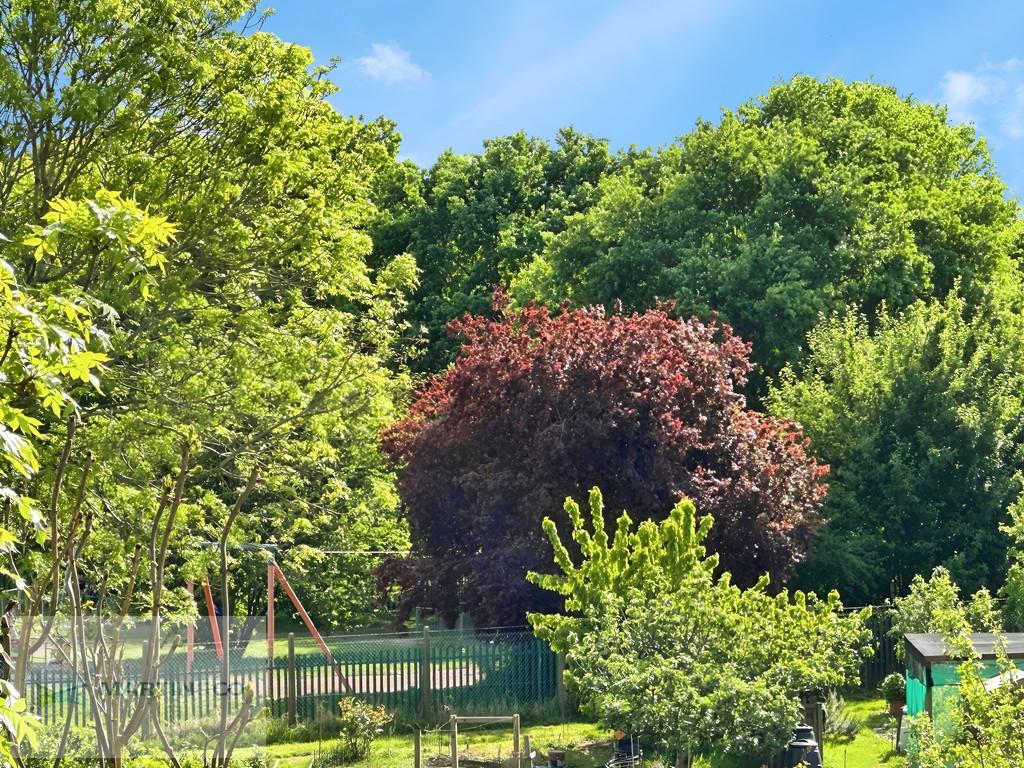 A035aa0b-outdoor