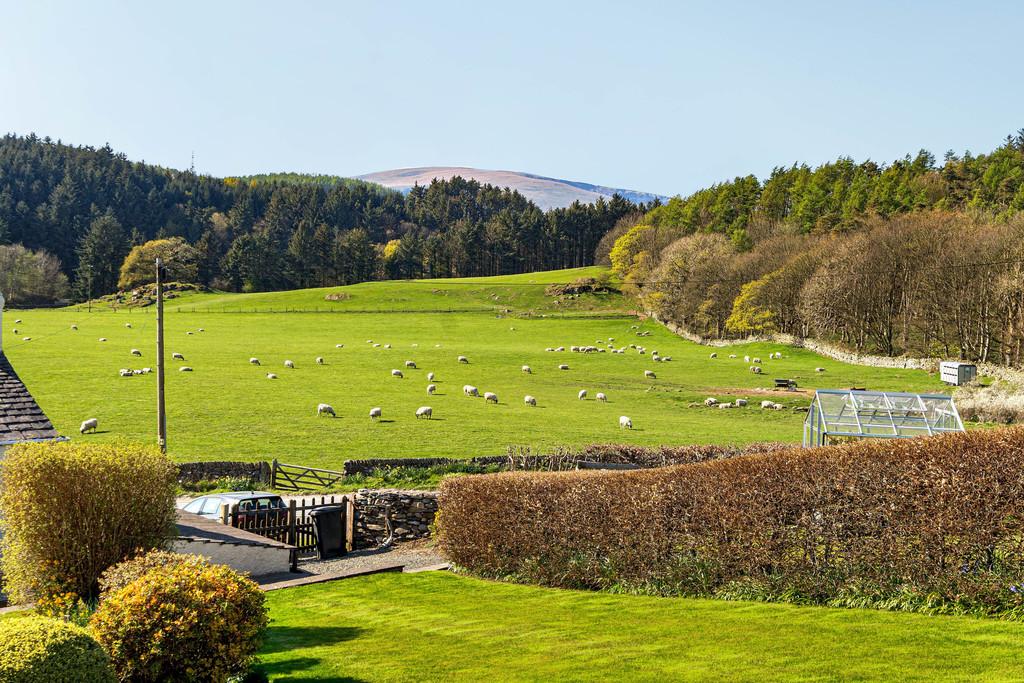 Garden and View