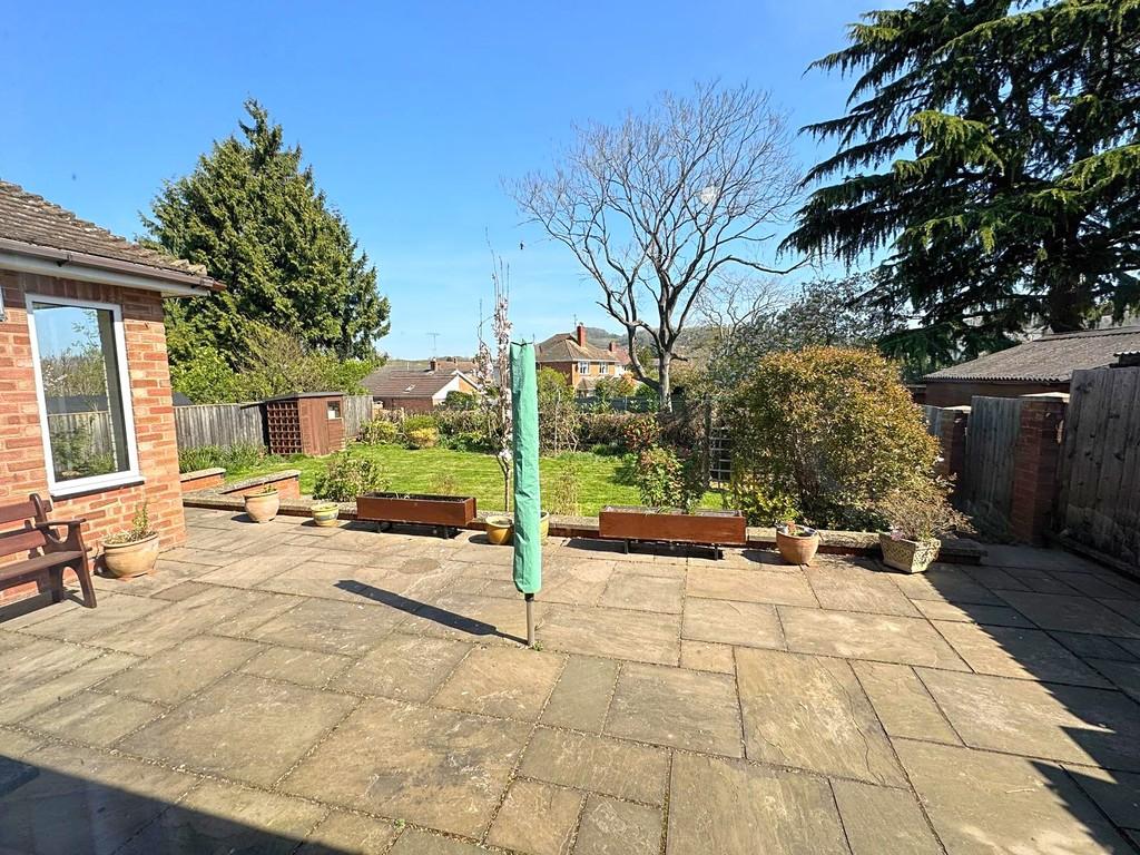 Rear garden from patio