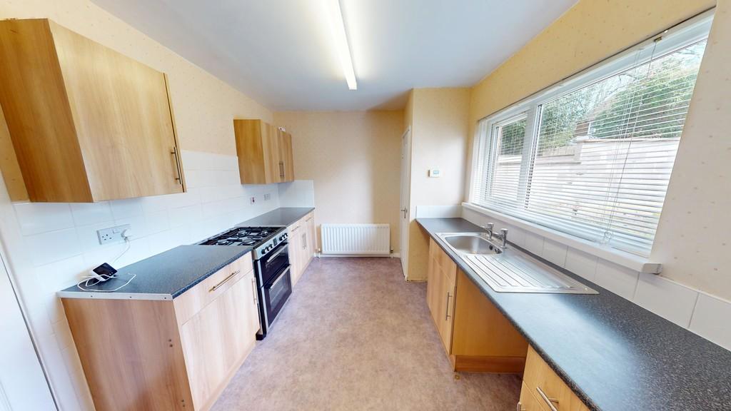 Squire-Lane-04142025 120608