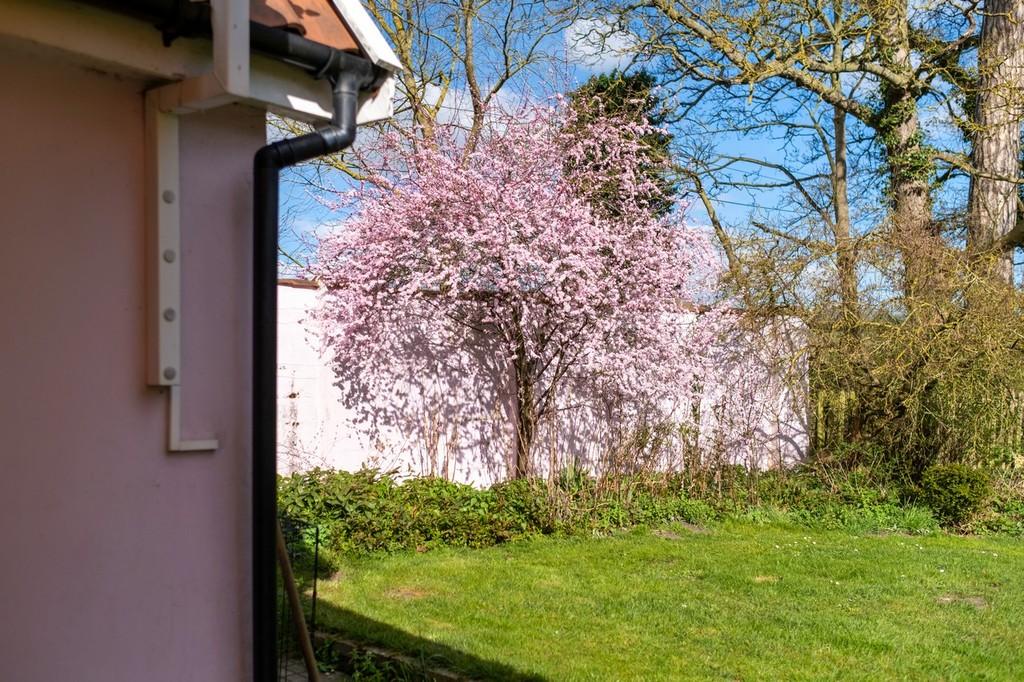 Lodge Cottage-54