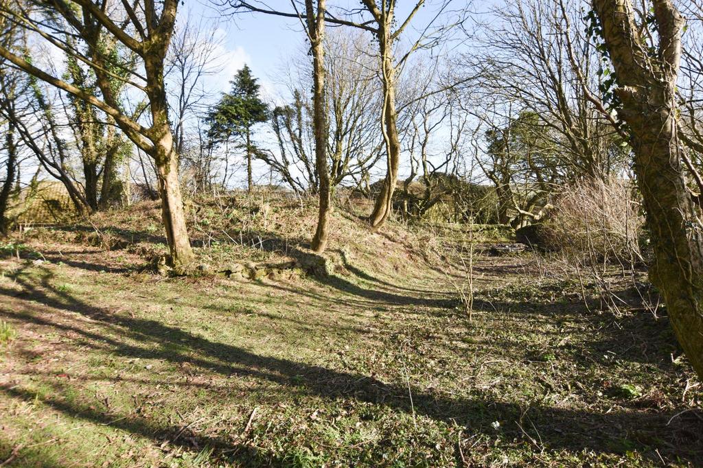 Wooded Grounds