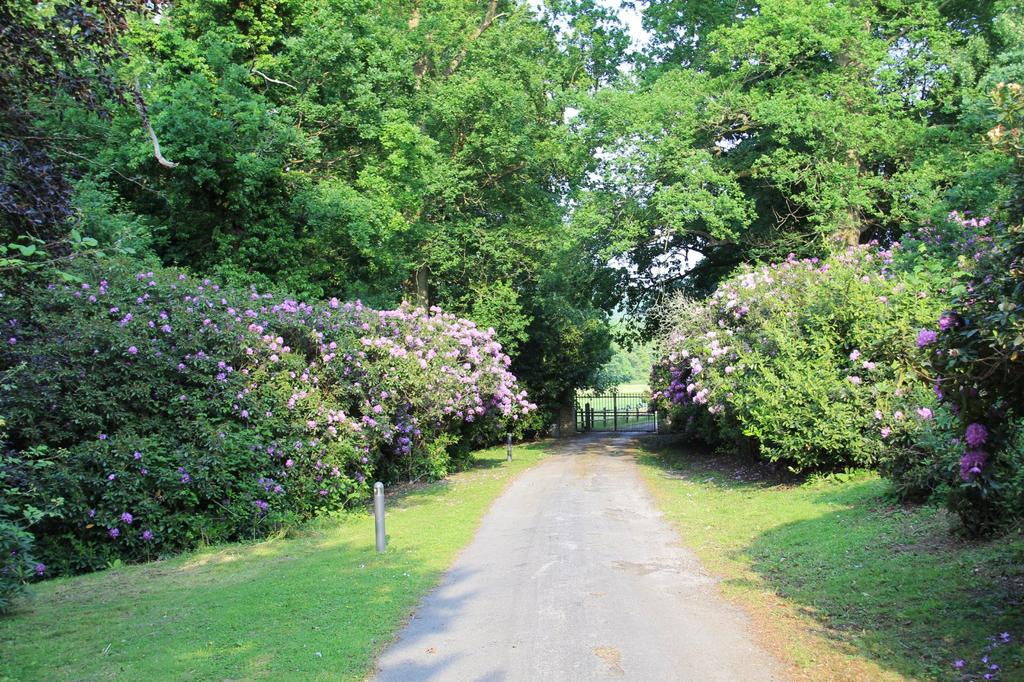 Driveway