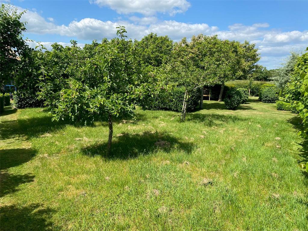 Orchard