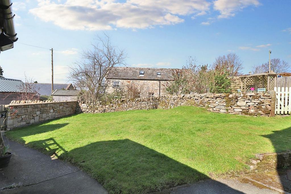 Rear Garden II