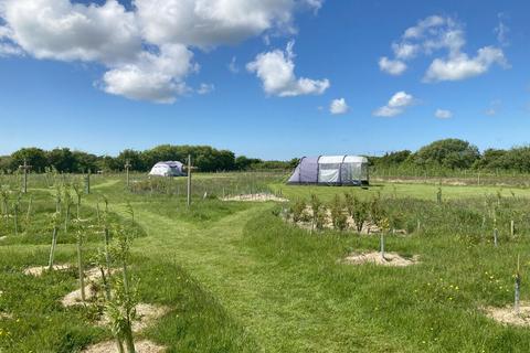 undefined, Caergeiliog, Isle of Anglesey