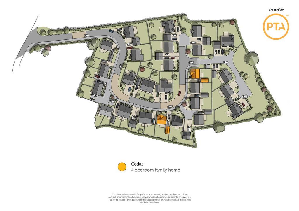 Cedar Plan
