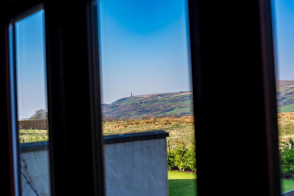 DSC 6103.jpg