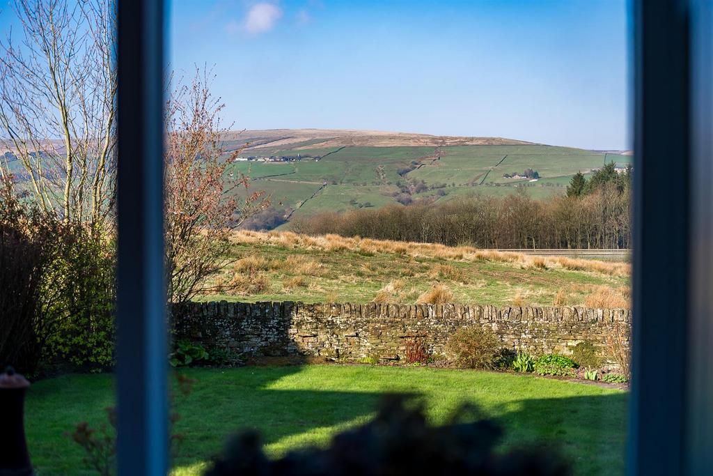 DSC 6106.jpg