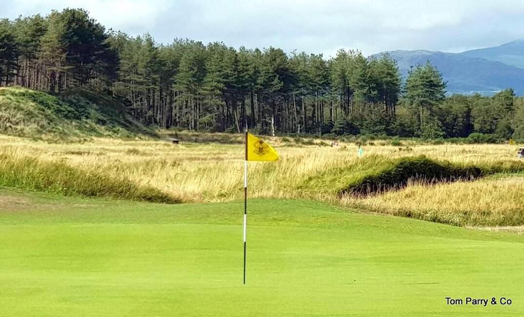 Golf course.jpg