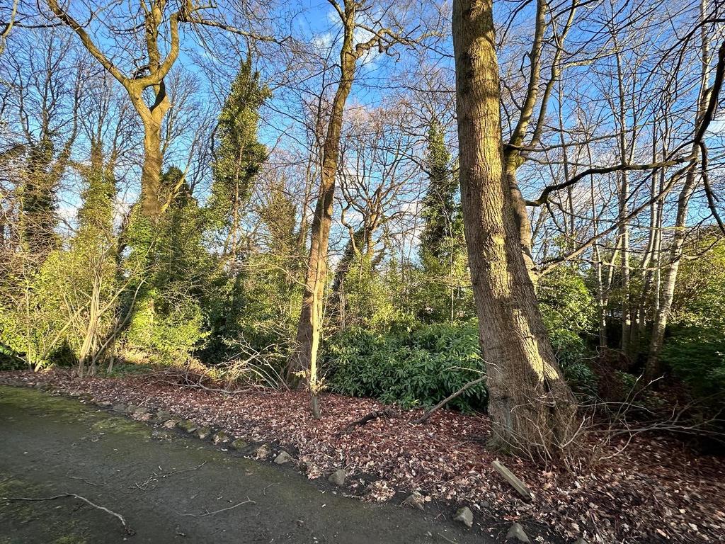 Half an acre of grounds