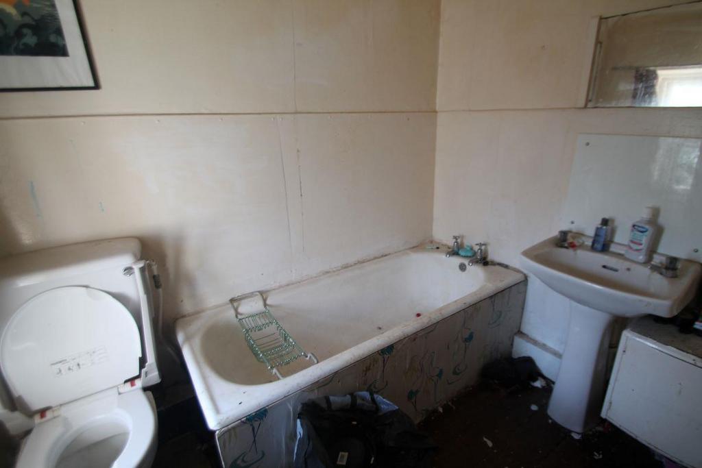 226 CR 2032422 web medium.jpg