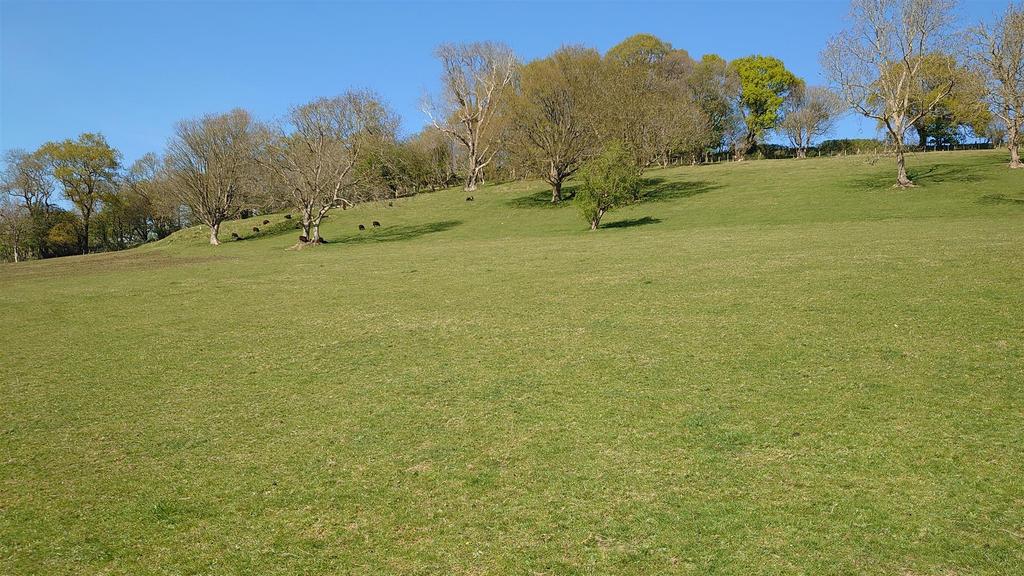 Dsc 7244.jpg