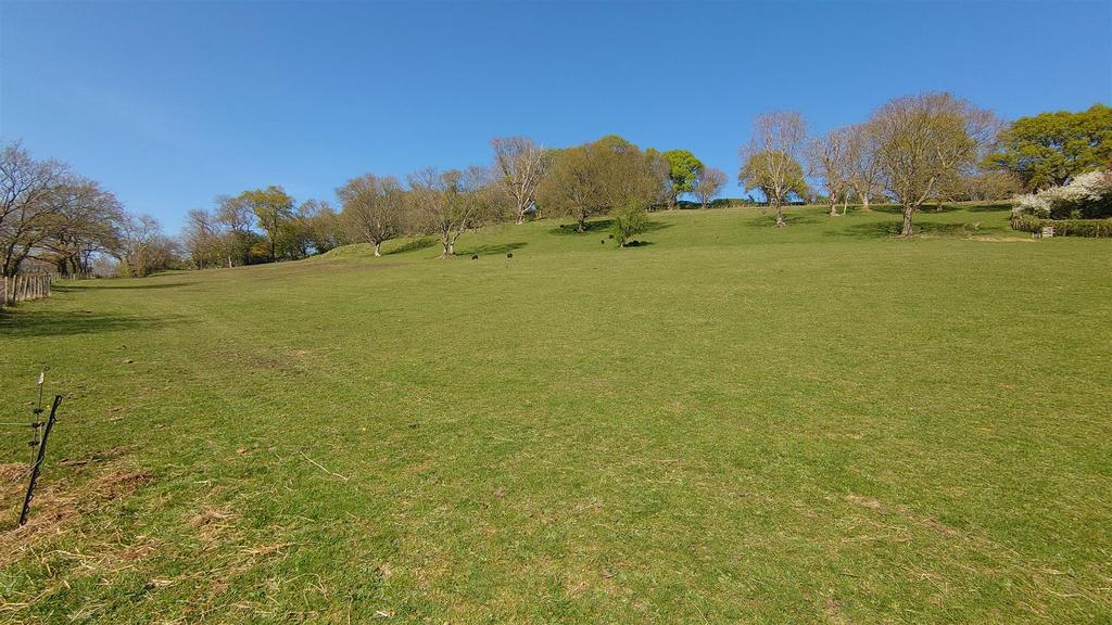 Dsc 7237.jpg