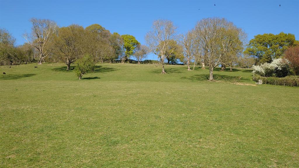 Dsc 7245.jpg