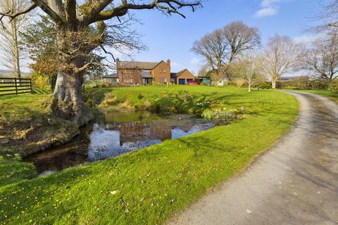 undefined, Powys