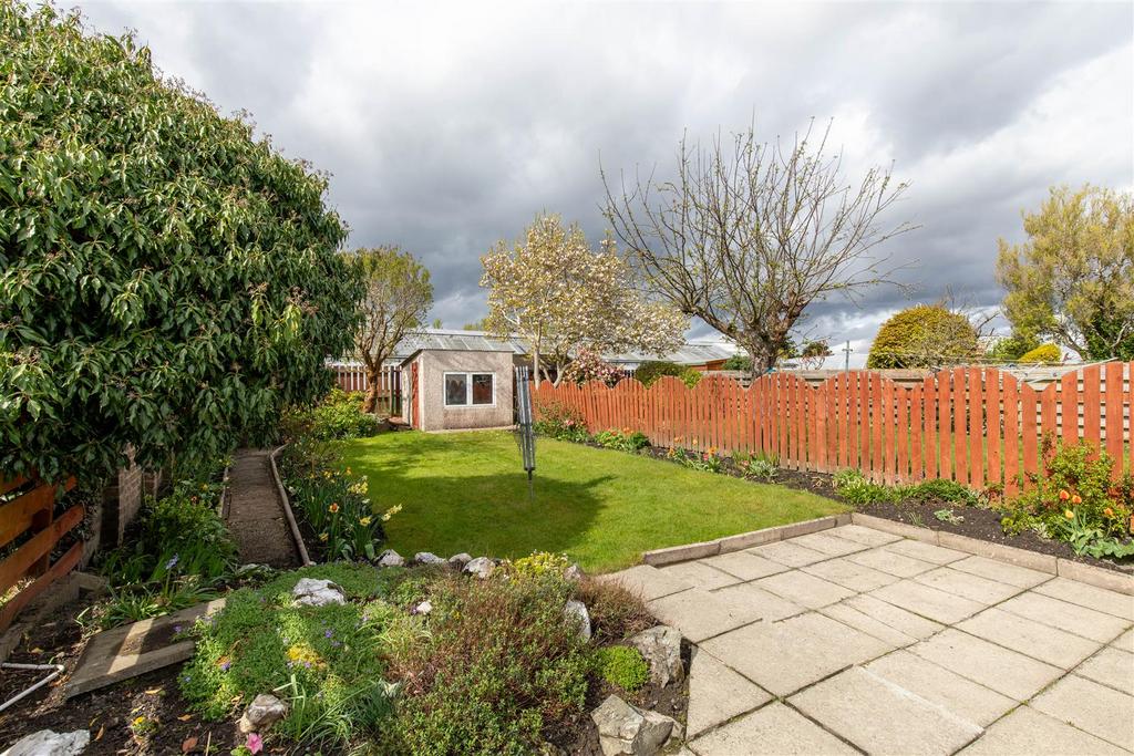 Garden 4.jpg